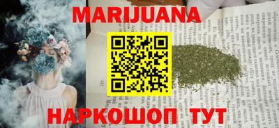 гидропоника Можга