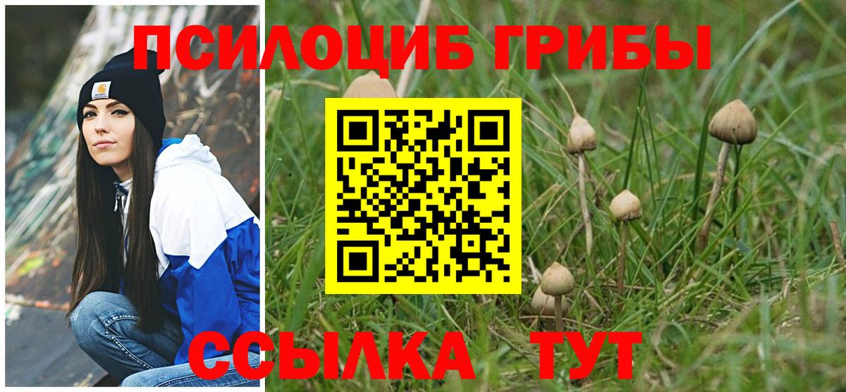Галлюциногенные грибы Psilocybe Ялта